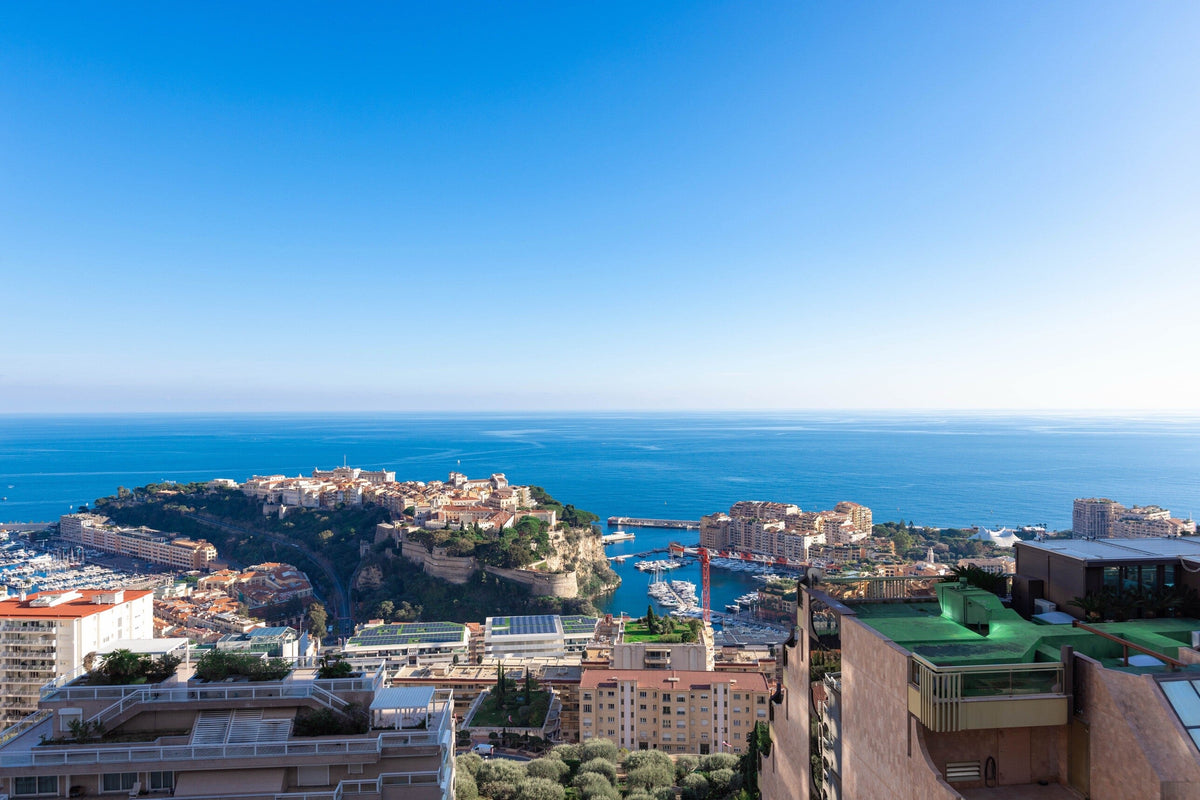 View over Monaco towards the Rocher and Fontvieille harbour with the Mediterranean beyond