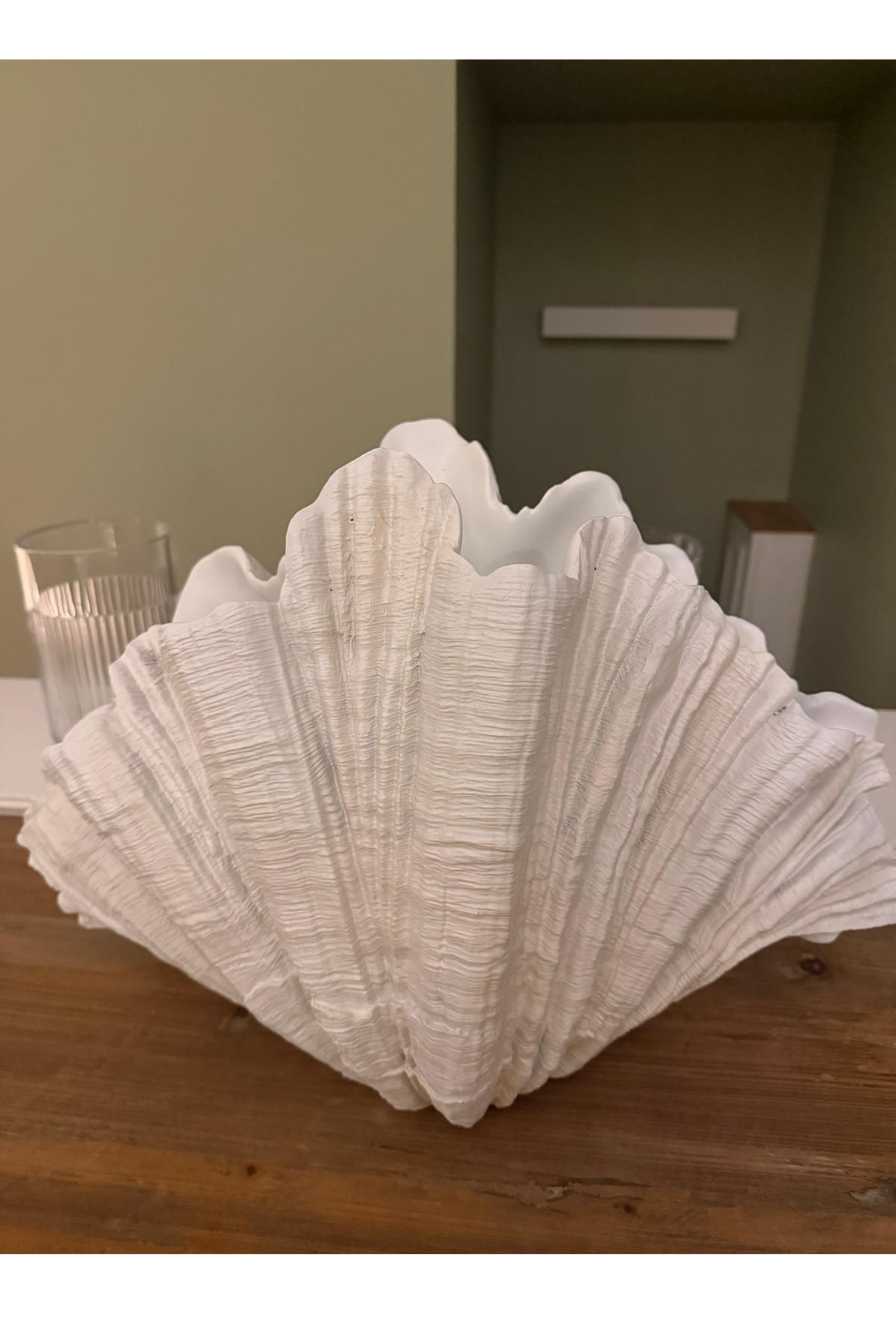 Large Decorative Shell