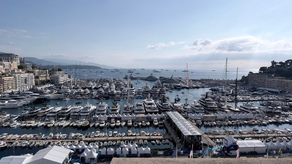 Port Hercule in Monaco full of yachts, with Monte-Carlo and the coastline behind
