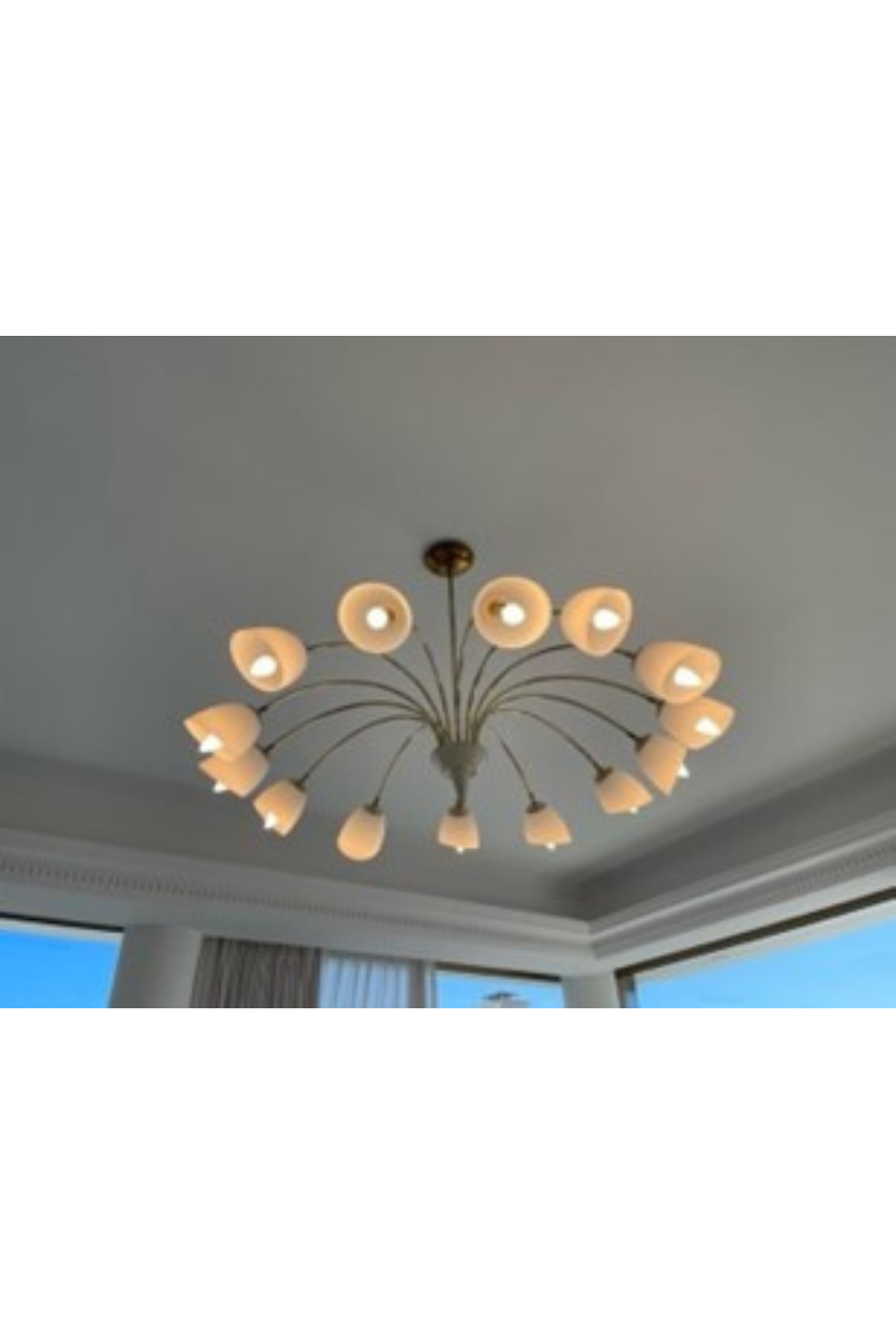 Brass Spider Chandelier