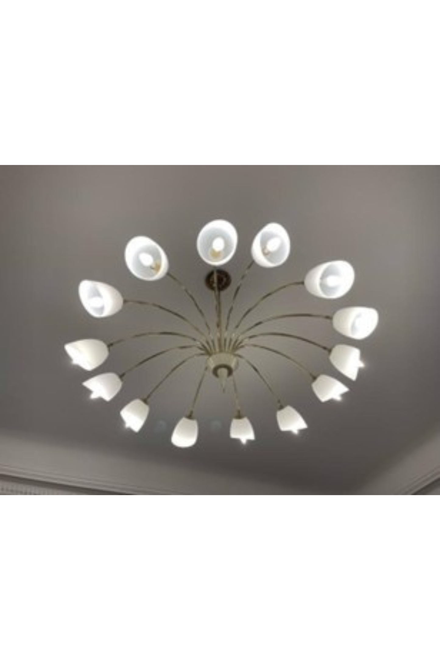 Brass Spider Chandelier